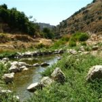 ارتفاع على درجات الحرارة