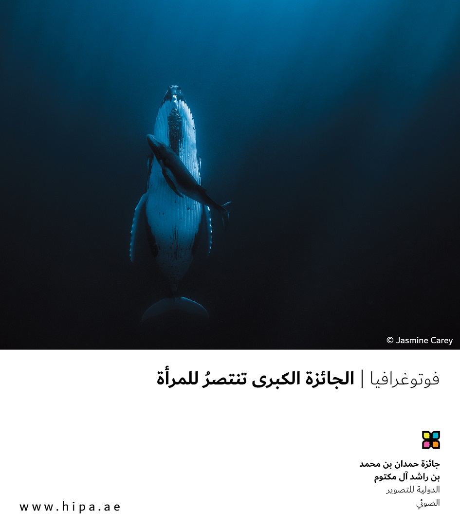 You are currently viewing فوتوغرافيا  الجائزة الكبرى تنتصرُ للمرأة