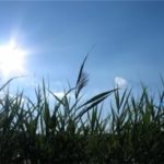 انخفاض على درجات الحرارة