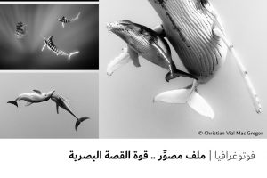 فوتوغرافيا  ملف مصوِّر .. قوة القصة البصرية