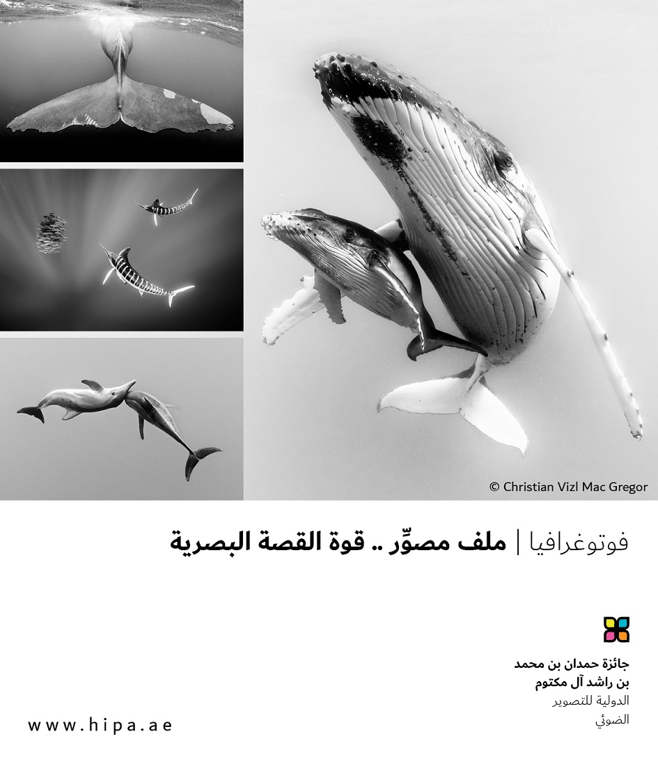 You are currently viewing فوتوغرافيا  ملف مصوِّر .. قوة القصة البصرية