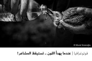فوتوغرافيا : عندما يهدأ اللون .. تستيقظ المشاعر