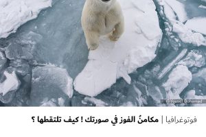 فوتوغرافيا : مكامن الفوز في صورتك ! كيف تلتقطها ؟