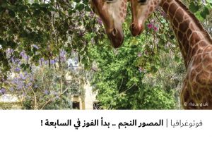 فوتوغرافيا : المصور النجم .. بدأ الفوز في السابعة !