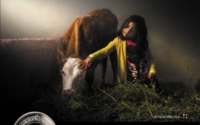 جائزة حمدان بن محمد للتصوير تنشر الصور الفائزة بمسابقة “حيوانك الأليف”‎‎