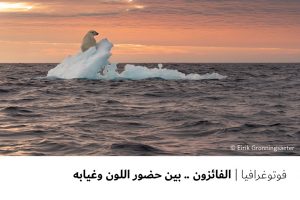 فوتوغرافيا الفائزون .. بين حضور اللون وغيابه