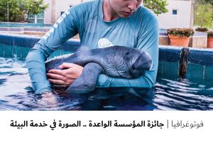 فوتوغرافيا : جائزة المؤسسة الواعدة .. الصورة في خدمة البيئة