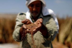 الأوقاف وهيئة تسوية الأراضي تناقشان سبل حماية الأراضي الوقفية