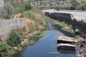 سموم المستوطنات تسلب الحياة في “بروقين”