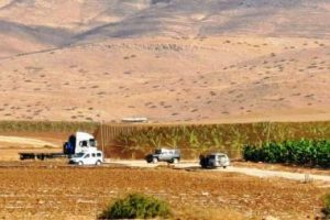 هجمة إسرائيلية جديدة … تدمير وتخريب تكبد المزارعين خسائر مادية فادحة في الرأس الأحمر