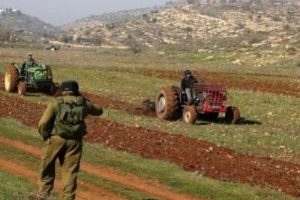 الاحتلال يغرم مواطناً من الأغوار للإفراج عن جراره الزراعي