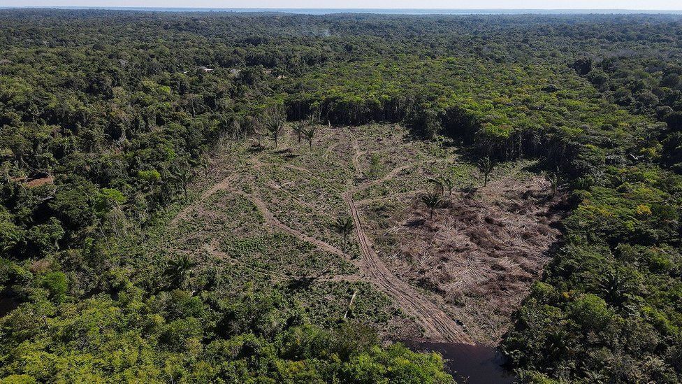 You are currently viewing ثلث غابة الأمازون “دُمّر” بسبب الأنشطة البشرية والجفاف