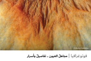 فوتوغرافيا : مجاهلُ العيون .. تفاصيلٌ وأسرار