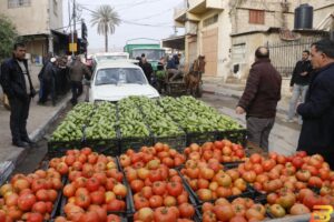 الزراعة: كساد في حسبة أريحا بسبب حصار الاحتلال للمدينة لليوم الثالث