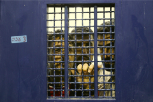 توتر واستنفار يسود سجني “النقب” و “نفحة