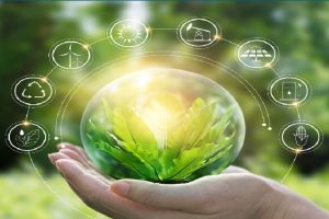 لتحقيق التنمية المستدامة… شركة صينية تعمل على بناء مبادرة “الشرق الأوسط الأخضر”