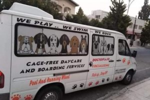 مدرسة متخصّصة للكلاب في الأردن