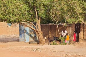 النزاع في السودان يعطّل المحاصيل الصيفية ويزيد مخاطر المجاعة