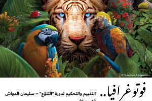 فوتوغرافيا : التقييم والتحكيم لدورة “التنوّع” – سليمان المواش (1 من 5)