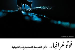 فوتوغرافيا : تألق العدسة السعودية والكويتية والعُمانية .. في حرب الألوان
