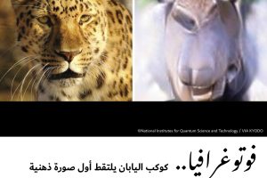 فوتوغرافيا : كوكب اليابان يلتقط أول صورة ذهنية في العالم