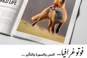 فوتوغرافيا : النص والصورة والتأثير …. من يتربع على عرش السيادة ؟ – الجزء الأول