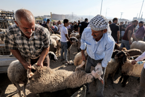 المفتي: الجمعة 6/6 أول أيام عيد الأضحى