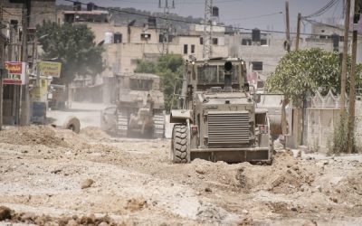 جنين.. كرمة نميدا وإجابات المخيم