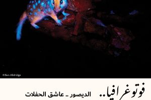 فوتوغرافيا : الديصور .. عاشق الحفلات