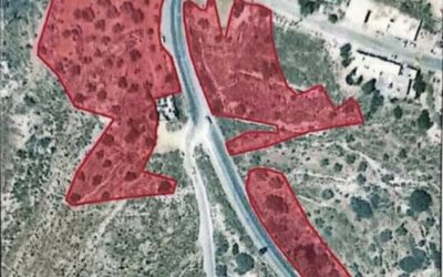 سلطات الاحتلال تصدر قرارا باقتلاع أشجار من أراضي راس كركر وكفر نعمة