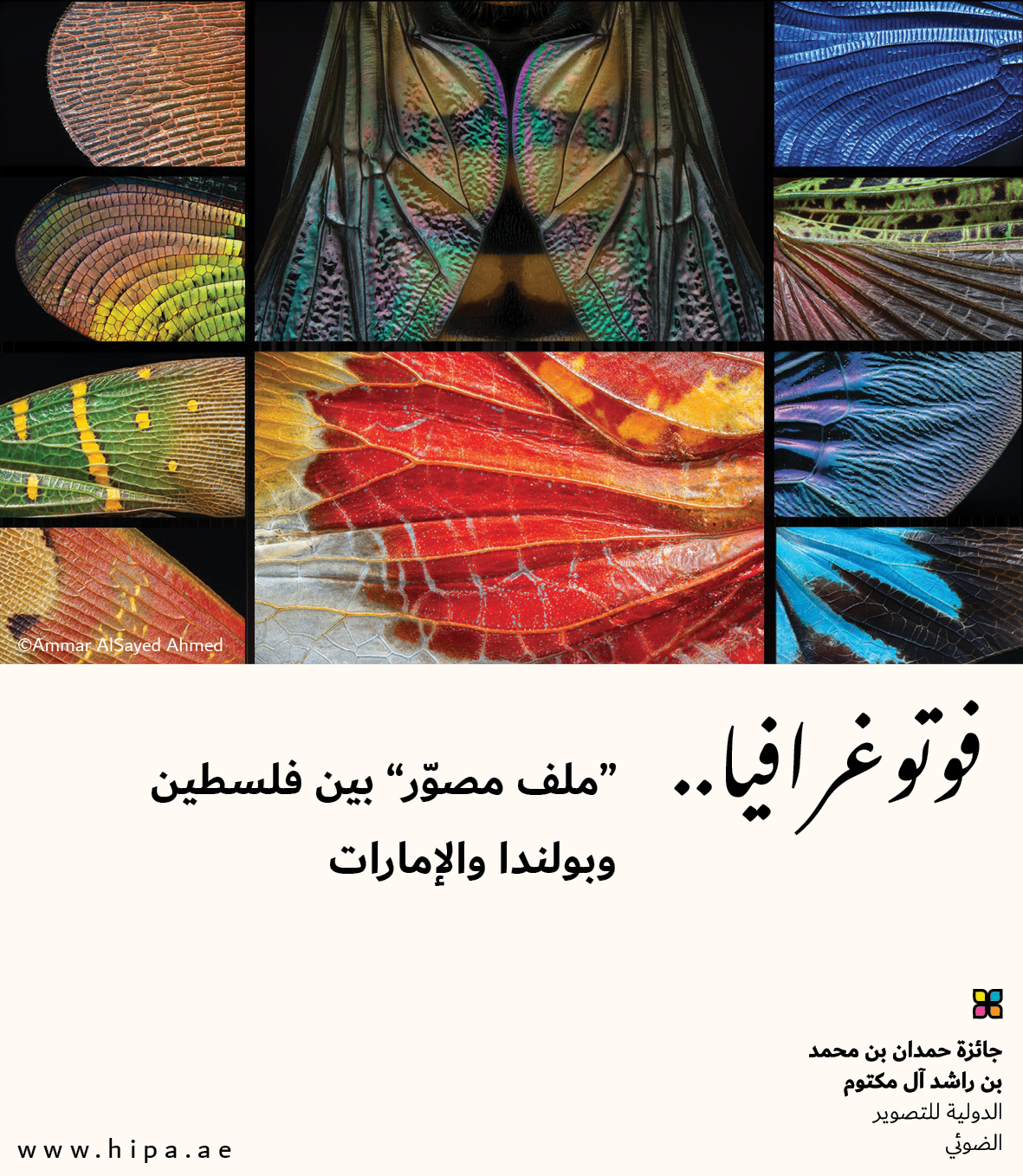 You are currently viewing فوتوغرافيا : <strong>“ملف مصوّر” بين فلسطين وبولندا والإمارات</strong>