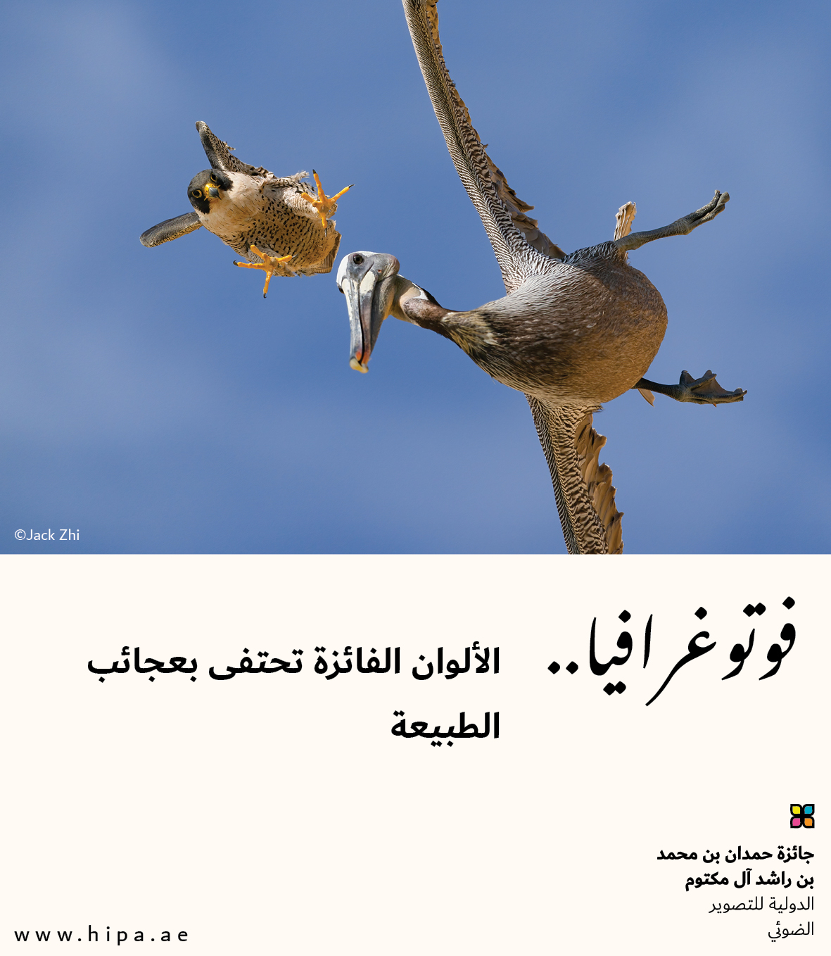 You are currently viewing فوتوغرافيا : الألوان الفائزة تحتفى بعجائب الطبيعة