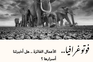 فوتوغرافيا : الأعمال الفائزة .. هل أخبرتنا أسرارها ؟