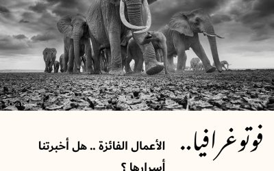 فوتوغرافيا : الأعمال الفائزة .. هل أخبرتنا أسرارها ؟