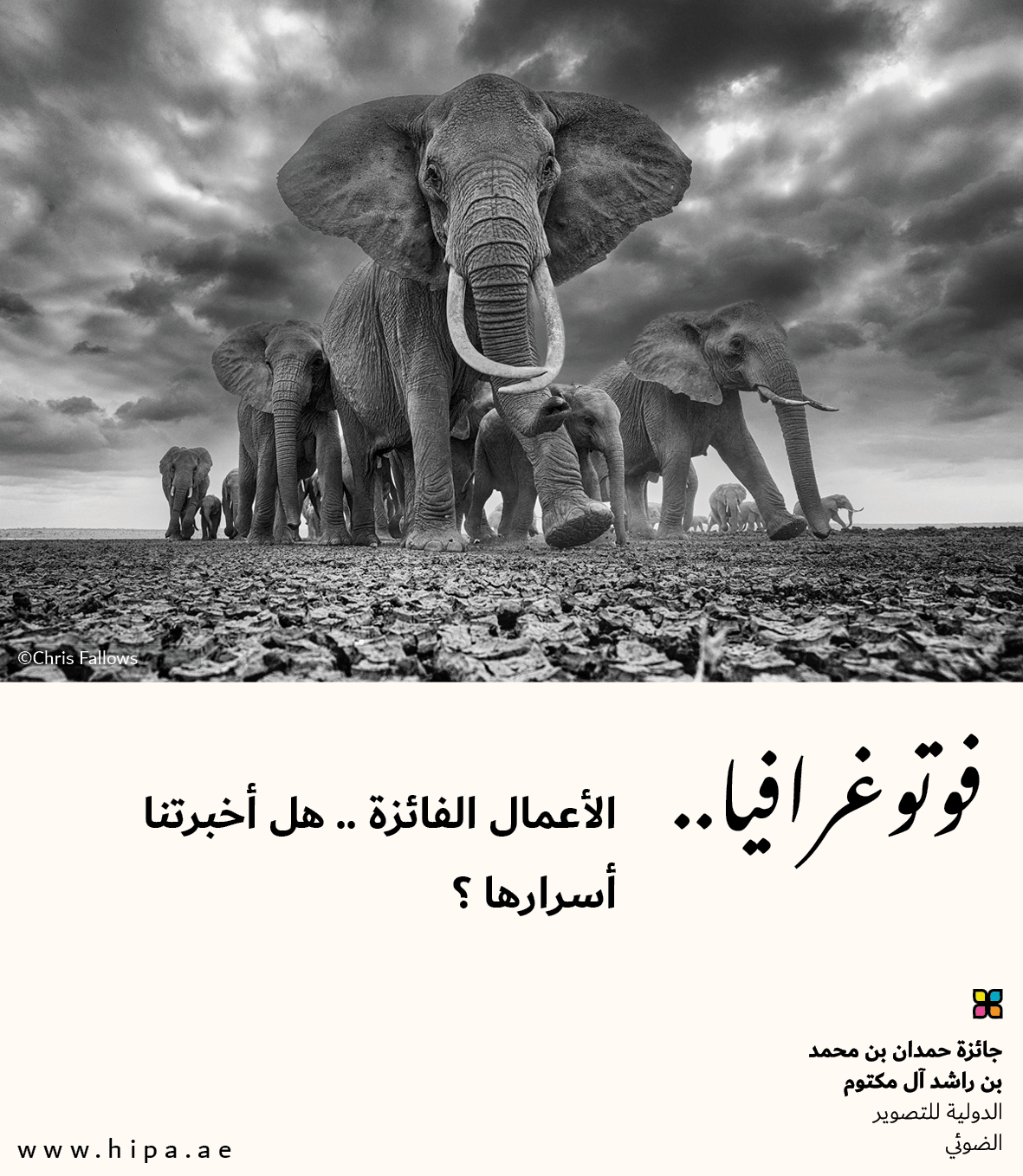 You are currently viewing فوتوغرافيا : الأعمال الفائزة .. هل أخبرتنا أسرارها ؟