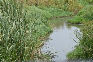 تهديدات بيئية خطيرة تلاحق وادي نهر المُقطع