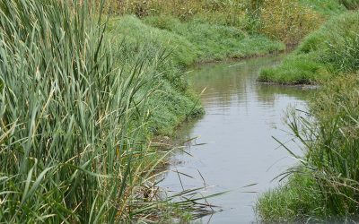 تهديدات بيئية خطيرة تلاحق وادي نهر المُقطع