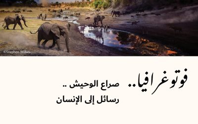 فوتوغرافيا : صراع الوحيش .. رسائل إلى الإنسان
