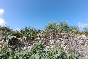 “الحاووز”.. شريان برقين الغائب