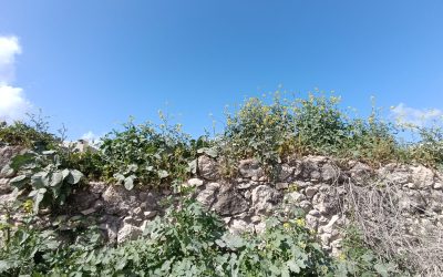 “الحاووز”.. شريان برقين الغائب