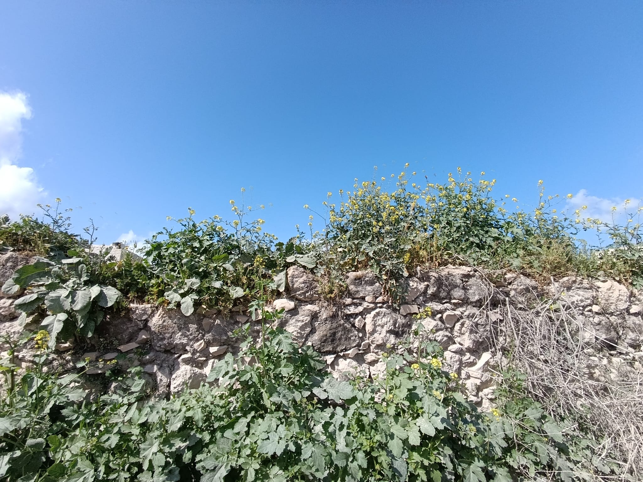 You are currently viewing <strong>“الحاووز”.. شريان برقين الغائب</strong>