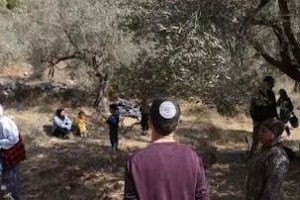 تهجير قسري لـ 11 عائلة فلسطينية شرق رام الله وإصابة شاب في مخيم الأمعري