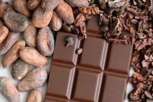 هبوط حاد في أسعار الكاكاو العالمية لأدنى مستوى منذ عامين ونصف