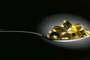 معلومات شاملة عن زيت السمك