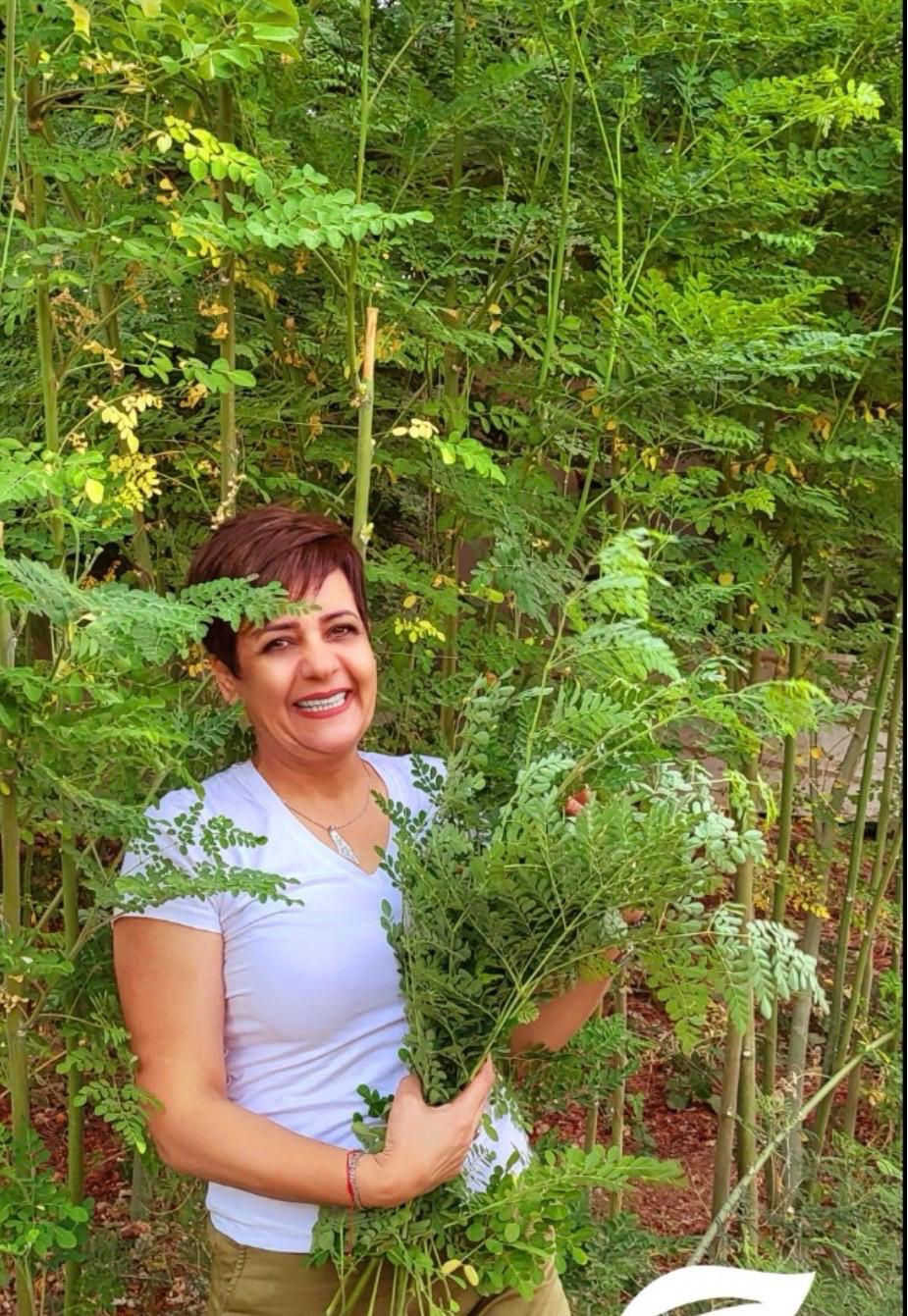 You are currently viewing من خلية نحل إلى “النبتة المعجزة”.. مليحة نصار تكتب سيرة الصمود بريادة تنبت من الأرض