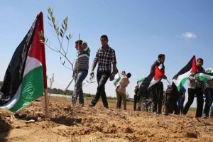 الإحصاء في يوم الأرض: الاحتلال استولى على حوالي 6 آلاف دونم في الضفة عام 2025