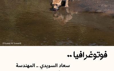 فوتوغرافيا : سعاد السويدي.. المهندسة التي أنقذتها الكاميرا من الوحدة