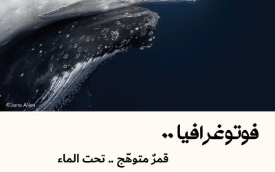 فوتوغرافيا : قمرٌ متوهّج .. تحت الماء