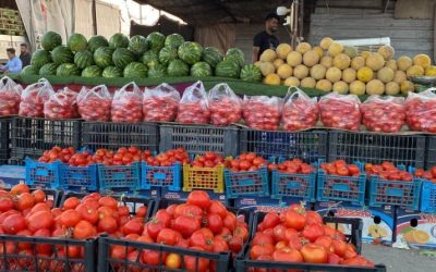 المنتجات الزراعيّة الفلسطينية محور التحريض في جلسة بالكنيست!