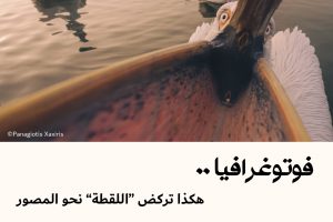 فوتوغرافيا : هكذا تركض “اللقطة” نحو المصور